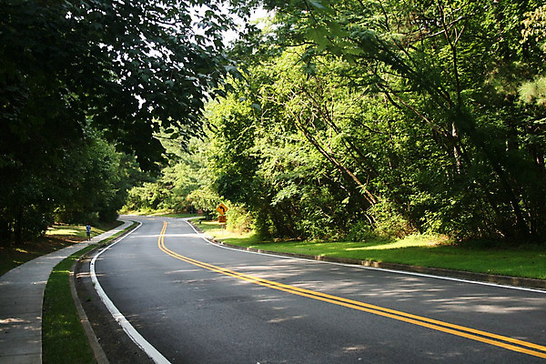 포토 JPG 해외이미지 나무 도로 여행 백그라운드 교통시설 미래 설계 거리 그림자 사람없음 빛 시골 숲 굴곡 방법 처음 해외202004 해외포토 식물 길 교통 컨셉 시설 파일형식 이미지허브