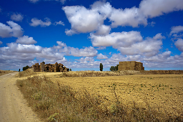 포토 JPG 해외이미지 구름 꽃잎 꽃 도로 줄기 잎 밭 농업 자연 휴가 거리 건조 파노라마 옥수수 씨앗 풍경 사람없음 내부 농작물 태양 맑음 흙 하이킹 수확 시골 스페인 볏짚 밀 만취 귀 철사 밀짚 밭일 산티아고 순례 주장 해외202004 해외포토 자연요소 식물 유럽 산업 길 교통시설 레저 날씨 곡류 촬영기법 신체부위 짚 생태계 술취함 파일형식 이미지허브