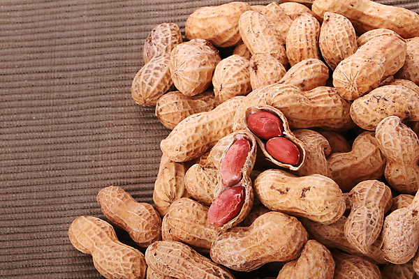 포토 JPG 해외이미지 응시 음식 백그라운드 사람없음 흰색 땅콩 고립 해외202004 해외포토 시선 컬러 견과류 파일형식 이미지허브