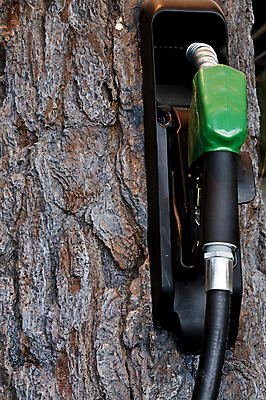 포토 JPG 해외이미지 나무 식물 산업 여행 교통시설 손잡이 사람없음 초록색 경제 환경 에너지 소나무 역 보호 휘발유 석유 서비스 화석 연료 가스 주유소 펌프 내추럴 노즐 바이오 생태학 비용 해외202004 해외포토 교육 컬러 교통 컨셉 시설 파일형식 이미지허브