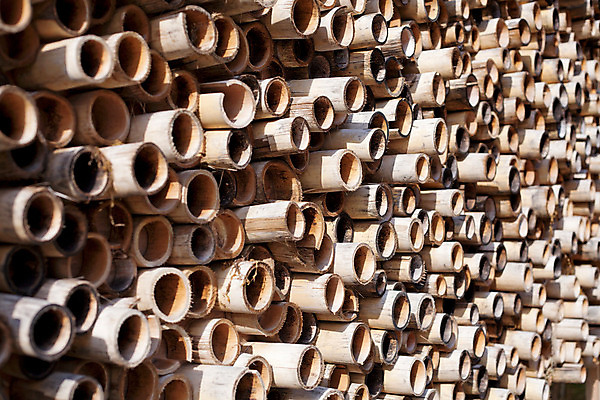 포토 JPG 해외이미지 나무 벽 패턴 자연 건조 사람없음 장식 여름 대나무 해외202004 해외포토 식물 계절 무늬 생태계 파일형식 이미지허브