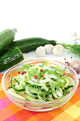 포토 JPG 해외이미지 음식 채소 양파 오이 사람없음 초록색 껍질 신선 상추 자르기 허브 향신료 날것 소금 후추 성분 딜 해외202004 해외포토 식물 컬러 모션 향미료 파일형식 이미지허브