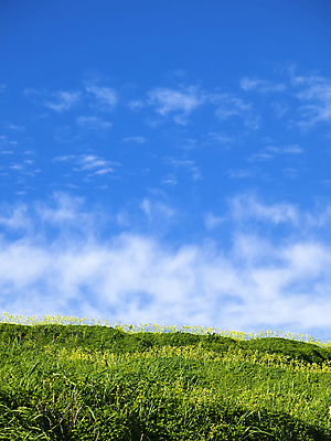 포토 JPG 해외이미지 구름 계절 꽃 도로 백그라운드 컨셉 밭 자연 하늘 풍경 경사 사람없음 초록색 환경 봄 산책 하이킹 시골 언덕 엽서 몰타섬 생태학 원정 특별함 그리너리 해외202004 해외포토 자연요소 식물 교육 길 컬러 섬 농업 교통시설 레저 휴식 편지 생태계 몰타 파일형식 트랜드컬러 이미지허브