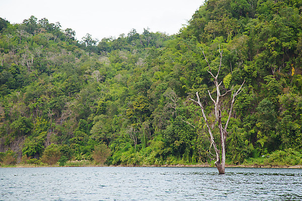 포토 JPG 해외이미지 나무 구름 계절 호수 파도 여행 밭 자연 하늘 표면 날씨 산 풍경 사람없음 야외 옆모습 초록색 물 파란색 강 태양 우주 침묵 안개 시골 정상 숲 땅 언덕 장면 지역 넘어짐 뿌연 절정 해외202004 해외포토 자연요소 식물 바다 뷰포인트 컬러 농업 모션 소리 생태계 파일형식 이미지허브