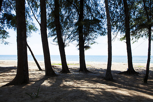 포토 JPG 해외이미지 나무 구름 모래 파도 바다 섬 여행 잎 자연 하늘 휴가 파노라마 손바닥 풍경 사람없음 야외 가로 물 여름 파란색 햇빛 태양 침묵 활발 흰색 만 장면 태평양 코코넛 멀리 터키석 해외202004 해외포토 자연요소 식물 손 계절 컬러 컨셉 과일 촬영기법 소리 보석 생태계 파일형식 이미지허브