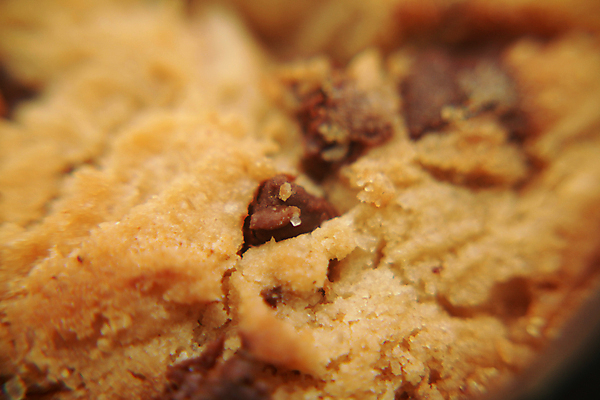 포토 JPG 해외이미지 길 음식 백그라운드 디저트 사탕 사람없음 가로 세로 갈색 쌓기 쿠키 초콜릿 어둠 침묵 빵집 우유 흰색 신선 붓 그룹 중앙 달콤 치아 칫솔 작음 설탕 굽기 먹기 오브젝트 싱글 정사각형 슛 고립 위생관리 페스츄리 해로움 핸드메이드 해외202004 해외포토 도형 빵 컬러 컨셉 모션 유제품 관리 위생용품 상점 소리 소화기관 맛 크기 구이 파일형식 이미지허브