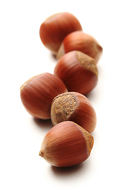 포토 JPG 해외이미지 실내 근접촬영 사람없음 견과류 흰배경 일렬 헤이즐넛 해외202004 해외포토 뷰포인트 백그라운드 내부 흰색 파일형식 이미지허브