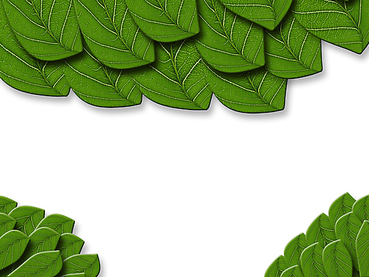 포토 JPG 해외이미지 식물 건축물 백그라운드 잎 패턴 자연 추상 건강 사람없음 초록색 여름 봄 성장 신선 묘사 유기농 생태계 질감 정맥 내추럴 대칭 생태학 엘리먼트 해외202004 해외포토 웰빙 계절 교육 건축 컬러 무늬 혈관 파일형식 이미지허브