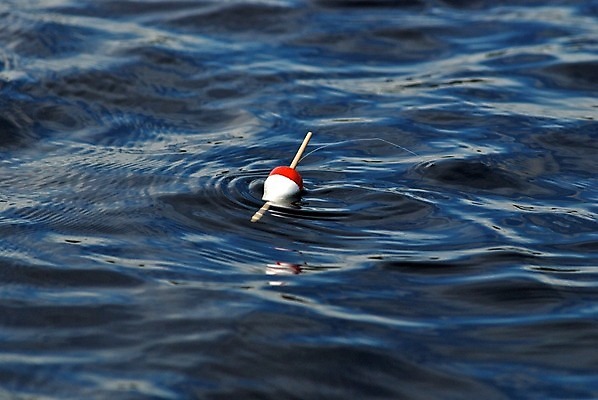 포토 JPG 해외이미지 선 낚시 어류 사람없음 물 파란색 지시 코르크 해외202004 해외포토 자연요소 컬러 모션 레저 수중동물 파일형식 이미지허브