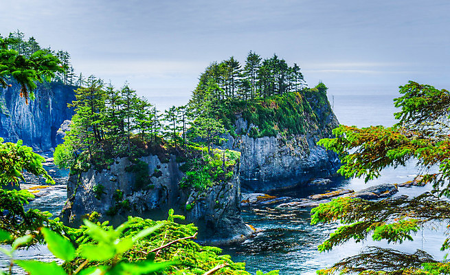 포토 JPG 해외이미지 나무 바다 풍경 사람없음 물 절벽 태평양 암초 워싱턴 해외202004 해외포토 자연요소 식물 미국 파일형식 이미지허브