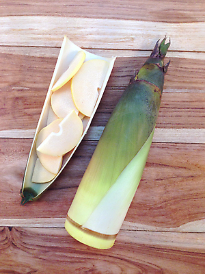 포토 JPG 해외이미지 조각 실내 사람없음 하이앵글 죽순 나무배경 해외202004 해외포토 뷰포인트 백그라운드 내부 파일형식 이미지허브