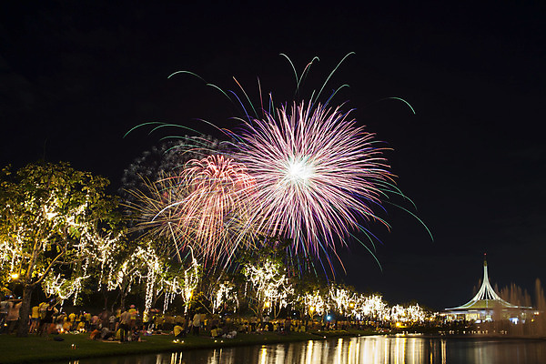 포토 JPG 해외이미지 공원 꽃 행복 불 조명 새해 사람 사람없음 야외 빛 검은색 어둠 개화 야간 카피스페이스 해외202004 해외포토 자연요소 식물 공공시설 감정 컬러 공백 파일형식 이미지허브