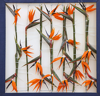 포토 JPG 해외이미지 모양 식물 디자인 꽃잎 꽃 분홍색 꽃다발 결혼 꽃무늬 자연 휴식 프레임 발렌타인데이 선물 사랑 사람없음 장식 빨간색 장미 우주 정원 보라색 스파 봄 벚꽃 하트 신선 생일 개화 다발 향수 데이지 향기 냄새 내추럴 멀티 엘리먼트 해외202004 해외포토 계절 기념일 감정 컬러 컨셉 무늬 데이이벤트 이벤트 화장품 생태계 파일형식 이미지허브