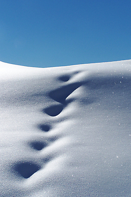 포토 JPG 해외이미지 겨울 풍경 사람없음 얼음 추위 스위스 해외202004 해외포토 자연요소 계절 유럽 파일형식 이미지허브