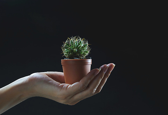 포토 JPG 해외이미지 나무 식물 손 지구 백그라운드 컨셉 잎 농업 자연 새로움 관리 사람 사람없음 초록색 새싹 환경 정원 희망 흙 봄 성장 잡기 보호 농부 작음 심볼 유기농 유지 개발 고립 돌봄 밭일 옛날 해외202004 해외포토 직업 웰빙 계절 감정 산업 컬러 모션 신체부위 크기 생태계 파일형식 이미지허브