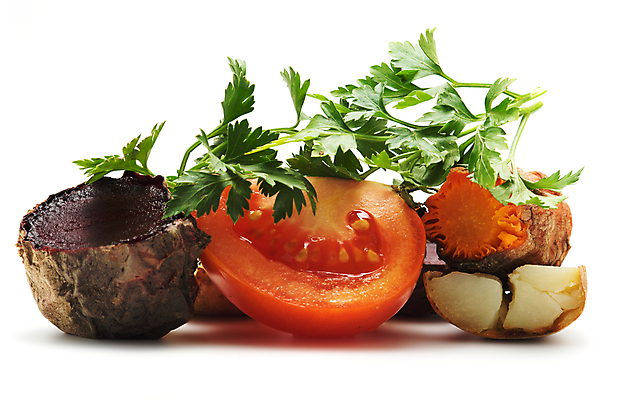 포토 JPG 해외이미지 음식 조각 잎 토마토 채소 재료 감자 파슬리 요리 사람없음 빨간색 초록색 당근 흰색 맛 그릴 먹기 허브 고립 비트 해외202004 해외포토 식물 컬러 컨셉 모션 주방용품 뿌리채소 파일형식 이미지허브