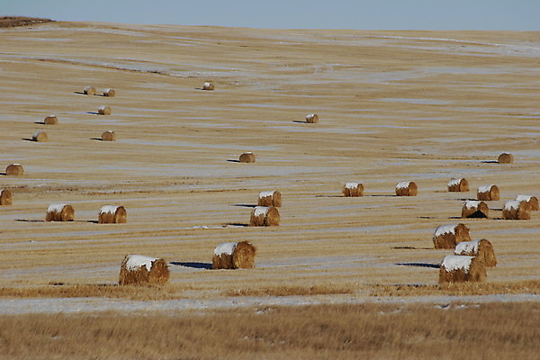 포토 JPG 해외이미지 밭 하늘 건조 사람없음 파란색 노란색 황금 볏짚 두루마리 뭉치 밀짚 해외202004 해외포토 컬러 농업 짚 파일형식 이미지허브