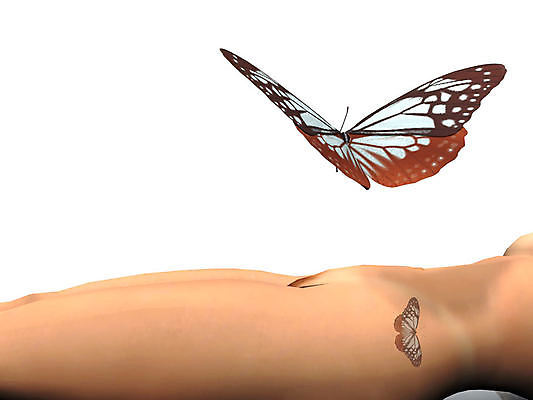 포토 JPG 해외이미지 동물 과학 나비 곤충 날개 자연 사람없음 여름 환경 보호 동물상 변태 생태학 해외202004 해외포토 계절 교육 컨셉 조형물 생태계 파일형식 이미지허브