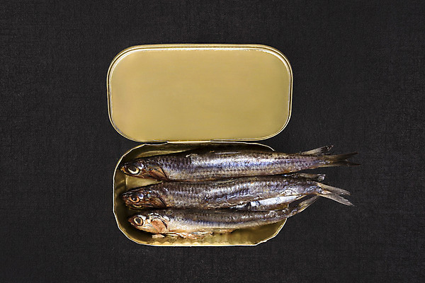 포토 JPG 해외이미지 전통 음식 조각 백그라운드 검은배경 건강 육류 어류 요리 사람없음 가로 노란색 금속 식사 오픈 황금 캔 맛 상품 컨테이너 해산물 올리브 통조림 고립 철강 해외202004 해외포토 열매 산업 컬러 컨셉 식재료 재질 검은색 수중동물 파일형식 이미지허브