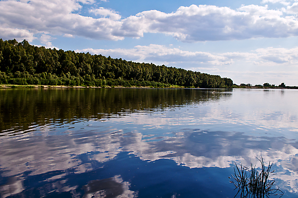 포토 JPG 해외이미지 나무 구름 라이프스타일 계절 호수 하늘 사람없음 야외 초록색 물 여름 파란색 강 컬러풀 햇빛 태양 반사 일출 침묵 일몰 봄 거울 성장 농촌 연못 개울 숲 강가 생태학 우크라이나 해외202004 해외포토 자연요소 식물 교육 유럽 컬러 생활 노을 소리 시골 파일형식 이미지허브