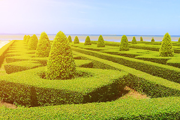 포토 JPG 해외이미지 나무 식물 디자인 공원 꽃 도로 길 여행 잎 꽃무늬 자연 숙이기 풍경 사람없음 장식 초록색 여름 일출 정원 침묵 산책 시골 보행로 숲 오솔길 관목 통로 시골집 원예 내추럴 떠남 방법 영원 그리너리 해외202004 해외포토 계절 공공시설 컬러 포즈 무늬 교통시설 모션 휴식 주택 취미 노을 소리 생태계 파일형식 트랜드컬러 이미지허브