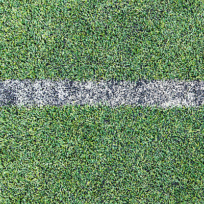 포토 JPG 해외이미지 식물 선 스포츠 백그라운드 컨셉 패턴 밭 공 자연 놀이 표면 잔디 사람없음 야외 초록색 환경 축구 경기장 게임 흰색 묘사 질감 내추럴 골 땅바닥 해외202004 해외포토 컬러 무늬 농업 스포츠시설 바닥 구기 생태계 파일형식 이미지허브