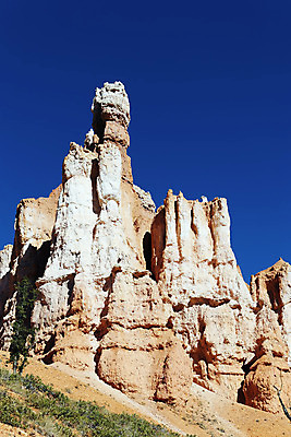 포토 JPG 해외이미지 나무 공원 지구 모래 여행 자연 산 건조 풍경 사람없음 야외 빨간색 빛 골짜기 미국 하이킹 사막 바위 소나무 신비 부식 좁은 사암 침식 내추럴 지질학 해외202004 해외포토 식물 공공시설 교육 컬러 컨셉 북아메리카 레저 돌_바위 생태계 파일형식 이미지허브