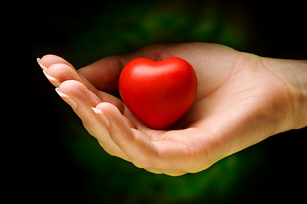 포토 JPG 해외이미지 모양 1 손 여자 행복 컨셉 손가락 아이디어 발렌타인데이 건강 선물 사랑 사람 성인 사람없음 빨간색 약 보라색 하트 잡기 보호 작음 심볼 오브젝트 팔 돌봄 헬프 해외202004 해외포토 감정 컬러 의학 모션 데이이벤트 신체부위 도움 크기 파일형식 이미지허브