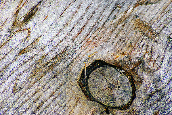 포토 JPG 해외이미지 백그라운드 추상 사람없음 목재 손상 얼룩 균열 떨어짐 질감 시들음 골절 구김 구식 그런지 썩음 옛날 해외202004 해외포토 나무 컨셉 무늬 재료 의학 모션 파일형식 이미지허브