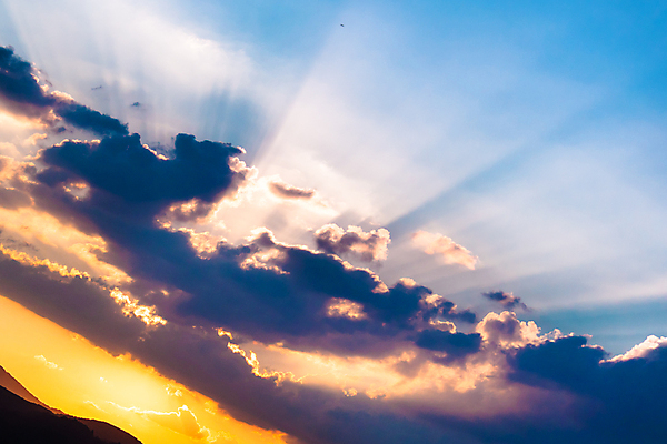 포토 JPG 해외이미지 나무 구름 계절 실루엣 백그라운드 오렌지 자연 하늘 아침 날씨 추상 산 따뜻함 풍경 사람없음 야외 파란색 빛 컬러풀 햇빛 태양 노란색 일출 환경 맑음 황혼 일몰 새벽 광선 분위기 저녁 숲 땅 언덕 장면 천국 강렬 수평선 해외202004 해외포토 주간 자연요소 식물 컬러 컨셉 무늬 과일 촬영기법 노을 야간 생태계 파일형식 이미지허브