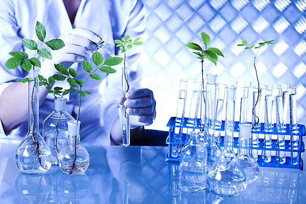 포토 JPG 해외이미지 식물 여자 실내 실험 한명 들기 상반신 성인 액체 화학 실험실 스포이트 플라스크 시험관 파란배경 비커 화학실험 시험관대 성인여자한명만 해외202004 해외포토 1 과학 백그라운드 모션 실험기구 사람 내부 파란색 피펫 여자한명만 성인여자만 파일형식 이미지허브