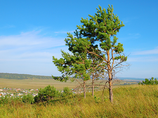 포토 JPG 해외이미지 나무 구름 밭 농업 자연 하늘 산 주택 풍경 사람없음 야외 가로 초록색 여름 파란색 마을 환경 계곡 가을 시골 소나무 숲 땅 언덕 장면 지역 상록수 침엽수 내추럴 해외202004 해외포토 자연요소 식물 계절 산업 컬러 건물 생태계 파일형식 이미지허브