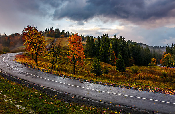 포토 JPG 해외이미지 나무 구름 계절 도로 여행 백그라운드 잎 곡선 교통시설 자연 하늘 날씨 산 풍경 사람없음 야외 목재 빨간색 컬러풀 노란색 환경 운전 안개 가을 시골 숲 아스팔트 땅 방향 언덕 10월 산악지대 굴곡 넘어짐 방법 폭풍우 해외202004 해외포토 자연요소 식물 길 선 컬러 교통 재료 모션 비_날씨 날짜 자연재해 시설 생태계 파일형식 이미지허브