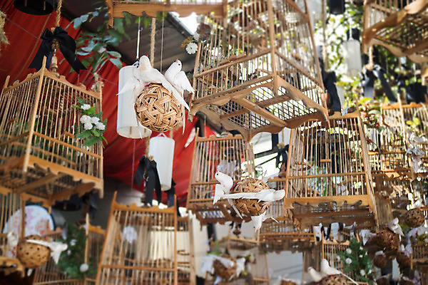 포토 JPG 해외이미지 커플 아시아 백그라운드 컨셉 날개 태국 조류 매달리기 사람없음 검은색 자유 수확 골동품 흰색 죽음 9 역사 울음 왕 오브젝트 장면 새장 기념물 명예 옛날 전국 존경 해외202004 해외포토 동물 나라 컬러 농업 관계 모션 표정 숫자 케이지 파일형식 이미지허브