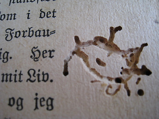 포토 JPG 해외이미지 종이 잉크 사람없음 책 타이핑 기록 작가 문학 페이지 옛날 출판 해외202004 해외포토 직업 파일형식 이미지허브