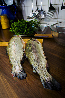 포토 JPG 해외이미지 동물 접시 음식 바다 2 다이어트 낚시 파슬리 건강 육류 어류 요리 사람없음 초록색 주방 식사 저녁식사 죽음 신선 맛 은색 해산물 피부 준비 꼬리 날것 내추럴 점심식사 민물 송어 오메가 해외202004 해외포토 식기 컬러 컨셉 채소 식재료 레저 신체부위 수중동물 파일형식 이미지허브