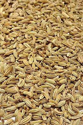 포토 JPG 해외이미지 음식 재료 요리 씨앗 사람없음 허브 향신료 유기농 해외202004 해외포토 식물 웰빙 향미료 파일형식 이미지허브