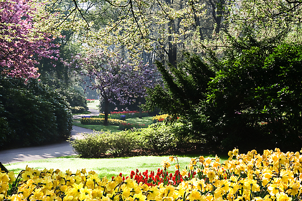 포토 JPG 해외이미지 나무 식물 계절 공원 꽃 꽃무늬 오렌지 전구 자연 풍경 사람없음 장식 빨간색 초록색 컬러풀 노란색 여행객 환경 정원 봄 튤립 벚꽃 개화 배열 네덜란드 향기 내추럴 밭일 히아신스 그리너리 해외202004 해외포토 공공시설 유럽 컬러 무늬 과일 사람 생태계 냄새 파일형식 트랜드컬러 이미지허브
