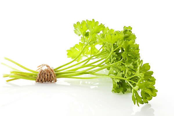 포토 JPG 해외이미지 스튜디오촬영 식물 계절 줄 음식 잎 채소 재료 자연 파슬리 건강 요리 사람없음 초록색 활발 흰색 신선 고명 양념 맛 다발 허브 향신료 보따리 유기농 날것 향 노끈 내추럴 고립 채식주의자 해외202004 해외포토 웰빙 컬러 컨셉 실내 생태계 채식 향미료 파일형식 이미지허브