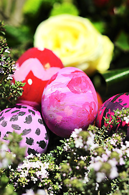 포토 JPG 해외이미지 식물 전통 디자인 계절 꽃 백그라운드 꽃무늬 자연 휴가 부활절 이벤트 사람없음 야외 장식 초록색 컬러풀 햇빛 노란색 계란 보라색 축제 봄 흰색 축하 신선 그리기 심볼 데이지 숨김 고립 숨기 줄서기 해외202004 해외포토 기념일 컬러 컨셉 무늬 모션 태양 알 생태계 파일형식 이미지허브