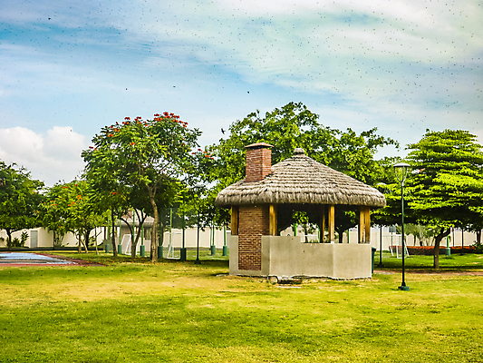 포토 JPG 해외이미지 나무 라이프스타일 계절 공원 백그라운드 교실 자연 날씨 풍경 사람없음 야외 초록색 여름 컬러풀 미국 봄 장면 에콰도르 이웃 남쪽 해외202004 해외포토 식물 공공시설 교육 컬러 북아메리카 학교 생활 남아메리카 방향 생태계 파일형식 이미지허브