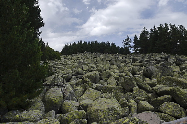 포토 JPG 해외이미지 나무 식물 구름 공원 백그라운드 자연 하늘 산 풍경 경사 사람없음 초록색 여름 강 갈색 노란색 바위 흰색 소나무 재산 숲 큼 연습 침엽수 불가리아 전국 절정 특별함 향나무 화강암 해외202004 해외포토 자연요소 계절 공공시설 컬러 컨셉 금융 암석 돌_바위 크기 생태계 파일형식 남유럽 이미지허브