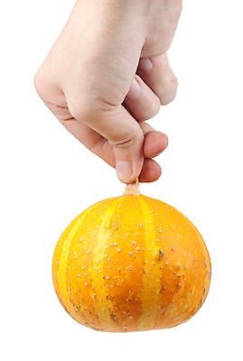 포토 JPG 해외이미지 손 계절 남자 길 백그라운드 채소 오렌지 호박 휴가 사람없음 장식 활발 할로윈 가을 흰색 자르기 가득함 싱글 날것 10월 고립 해외202004 해외포토 컬러 컨셉 과일 모션 사람 신체부위 날짜 파일형식 이미지허브