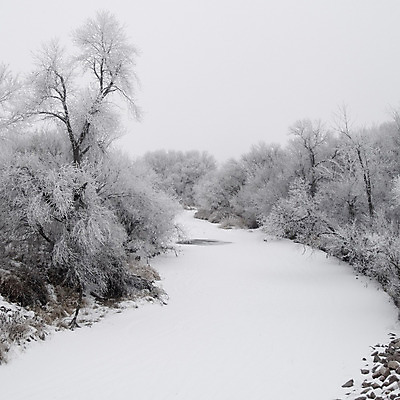 포토 JPG 해외이미지 나무 겨울 자연 풍경 사람없음 강 냉동 얼음 안개 백발 개울 황무지 숲 12월 서리 내추럴 반투명 뿌연 눈내림 해외202004 해외포토 자연요소 식물 헤어스타일 계절 날씨 눈_날씨 날짜 생태계 파일형식 이미지허브