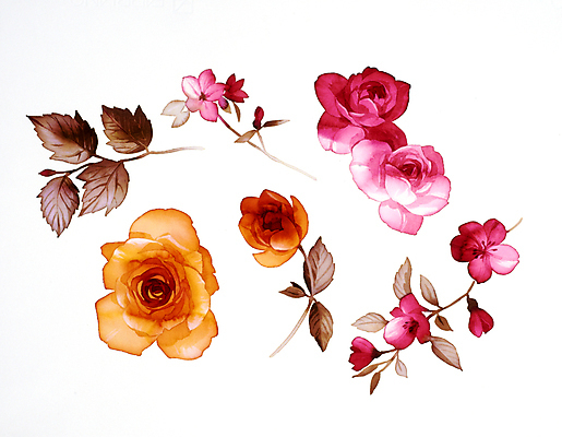 JPG 해외이미지 식물 꽃 꽃다발 일러스트 붓터치 수채화 사람없음 그림 번짐 해외202004 해외일러스트 파일형식 효과 이미지허브