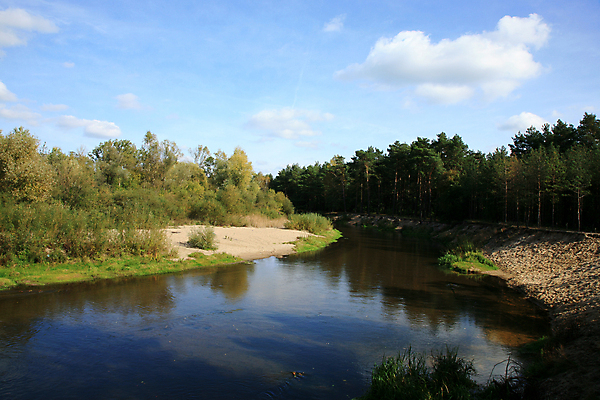 포토 JPG 해외이미지 나무 식물 구름 계절 길 모래 잎 자연 하늘 아침 휴식 풍경 사람없음 야외 초록색 물 여름 파란색 강 컬러풀 반사 평화 환경 맑음 침묵 가을 시골 황무지 황금 숲 그림 광택 폴란드 생태학 해외202004 해외포토 주간 자연요소 교육 유럽 컬러 컨셉 날씨 소리 생태계 파일형식 이미지허브