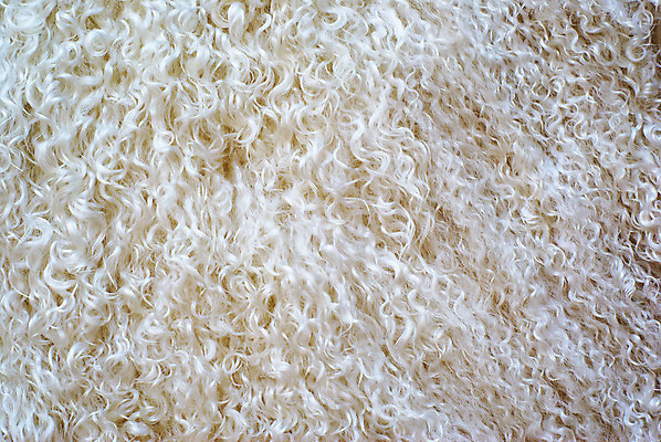 포토 JPG 해외이미지 모양 디자인 백그라운드 패턴 표면 추상 프레임 미술 사람없음 가로 파란색 빛 3D 우주 공백 활발 손상 시골 양 점 얼룩 거친 황폐 매끈함 가득함 피부 질감 정사각형 내추럴 구식 그런지 엘리먼트 옛날 스타일 효과 해외202004 해외포토 도형 컬러 컨셉 무늬 포유류 문화예술 신체부위 감각 디지털합성 파일형식 이미지허브