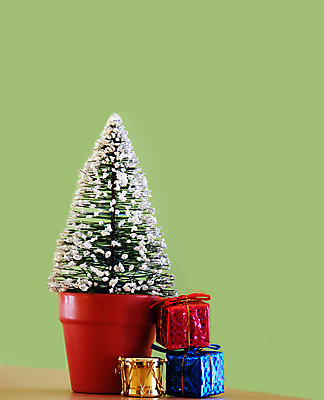 포토 JPG 해외이미지 나무 전통 손 계절 화분 크리스마스 2 겨울 넥타이 휴가 새로움 기념 선물 사람없음 장식 빨간색 초록색 파란색 빛 상자 장난감 갈색 노란색 축제 축하 인사 황금 작음 12월 묶기 연도 심볼 오브젝트 활 전나무 고립 광 제의 해외202004 해외포토 식물 잡화 기념일 컬러 컨셉 모션 신체부위 예절 날짜 크기 파일형식 이미지허브