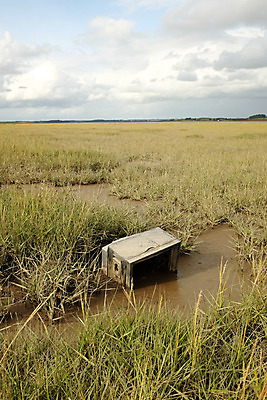 포토 JPG 해외이미지 구름 하늘 풍경 사람없음 초록색 물 파란색 세트 환경 텔레비전 습지 진흙 옛날 해외202004 해외포토 자연요소 컬러 전자제품 파일형식 이미지허브