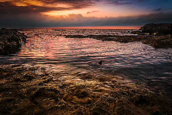 포토 JPG 해외이미지 구름 모래 파도 바다 여행 오렌지 자연 하늘 표면 아침 휴가 휴식 풍경 사람없음 야외 물 여름 반사 일출 침묵 고요 일몰 바위 지중해 당구 장면 암초 내추럴 튀니지 수평선 해외202004 해외포토 주간 자연요소 계절 컨셉 과일 아프리카 구기 노을 소리 돌_바위 생태계 파일형식 이미지허브